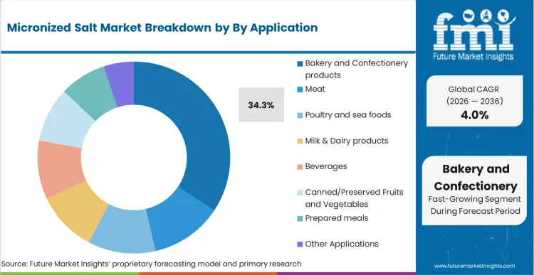 Micronized Salt Market Analysis By By Application