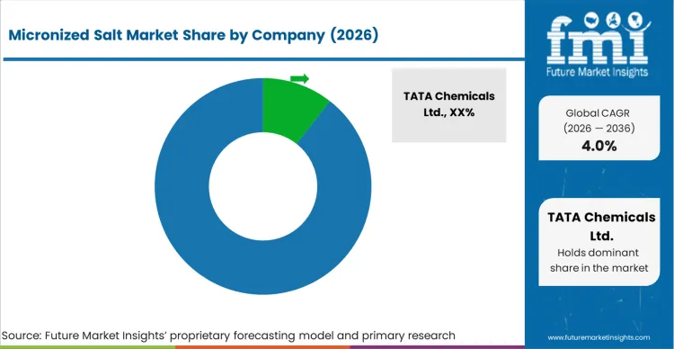 Micronized Salt Market Analysis By Company