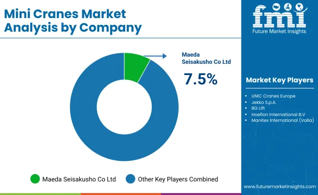 Mini Cranes Market Analysis By Company