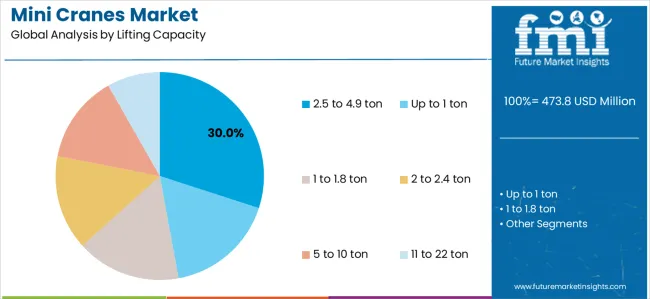Mini Cranes Market Analysis By Lifting Capacity Mini Cranes Market Analysis By Lifting Capacity