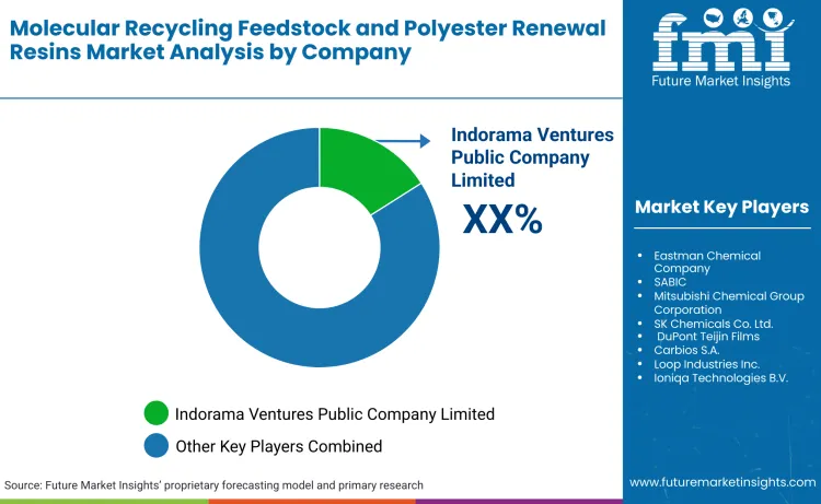 Molecular Recycling Feedstock And Polyester Renewal Resins Market By Company