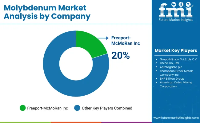Molybdenum Market By Company