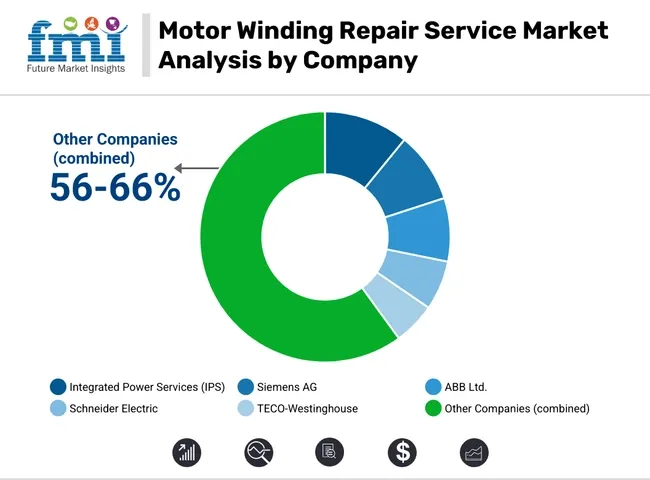 Motor Winding Repair Service Market Analysis By Company