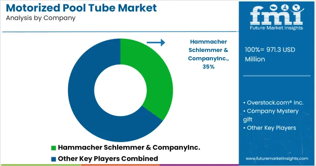 Motorized Pool Tube Market Analysis By Company
