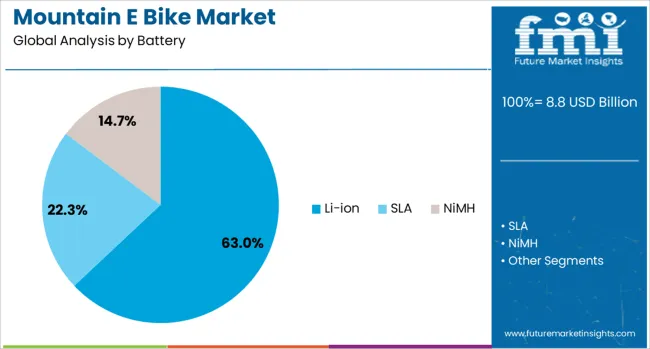 Mountain E Bike Market Analysis By Battery
