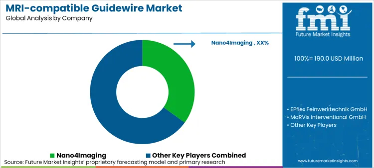 Mri Compatible Guidewire Market Analysis By Company