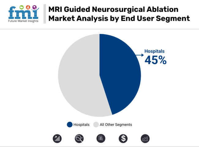 MRI Guided Neurosurgical Ablation Market Analysis By End User Segment