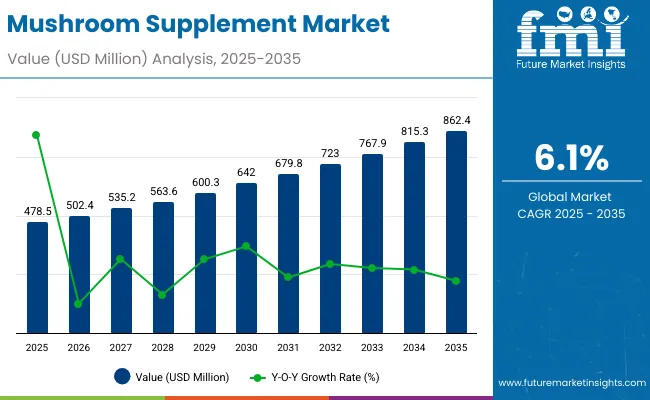 Mushroom Supplement Market
