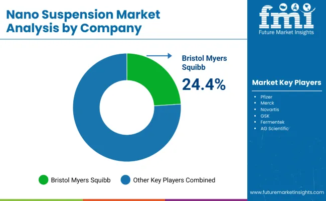 Nano Suspension Market By Company