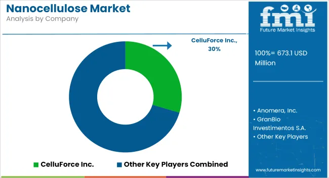 Nanocellulose Market Analysis By Company