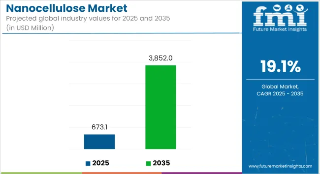 Nanocellulose Market Industry Value Analysis