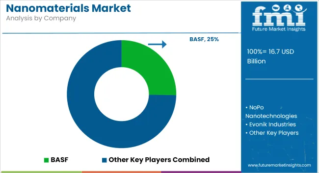 Nanomaterials Market Analysis By Company
