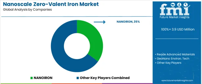 Nanoscale Zero Valent Iron Market Analysis By Company