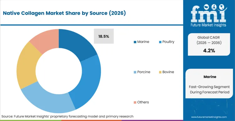Native Collagen Market Analysis By Source