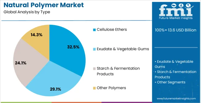 Natural Polymer Market Analysis By Type Natural Polymer Market Analysis By Type