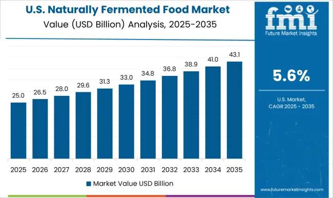 Naturally Fermented Food Market Country Value Analysis