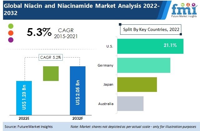 Niacin and Niacinamide Market