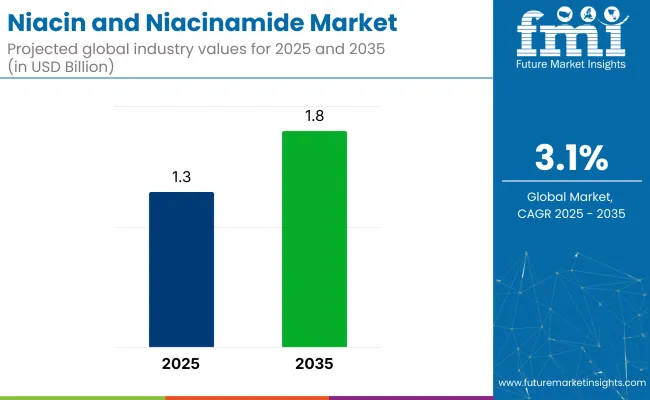 Niacin And Niacinamide Market