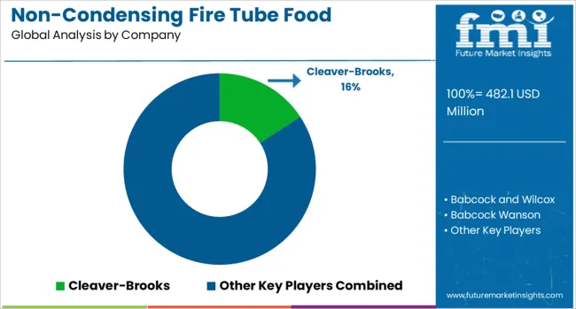 Non Condensing Fire Tube Food Processing Boiler Market Analysis By Company