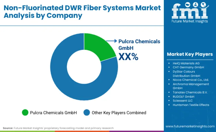 Non Fluorinated Dwr Fiber Systems Market By Company