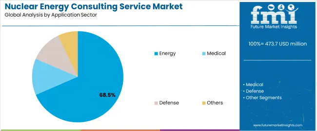 Nuclear Energy Consulting Service Market Analysis By Application Sector