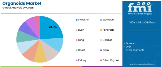 Organoids Market Analysis By Organ Organoids Market Analysis By Organ