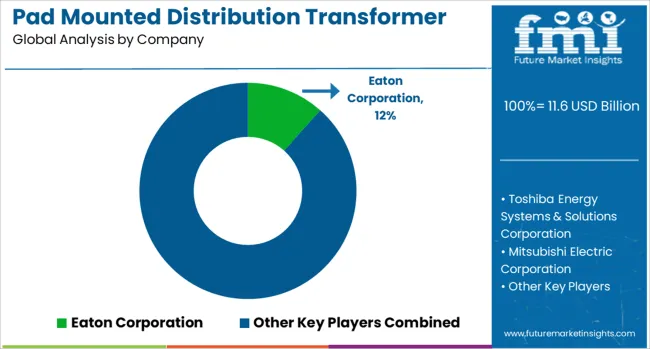 Pad Mounted Distribution Transformer Market Analysis By Company