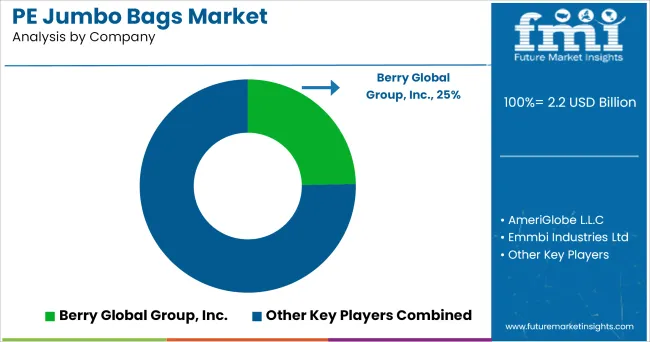 Pe Jumbo Bags Market Analysis By Company