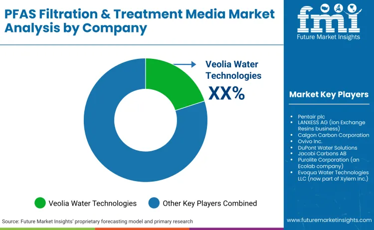 Pfas Filtration And Treatment Media Market By Company Pfas Filtration And Treatment Media Market By Company