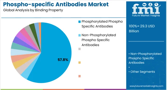 Phospho Specific Antibodies Market Analysis By Binding Property