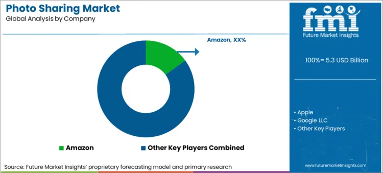 Photo Sharing Market Analysis By Company