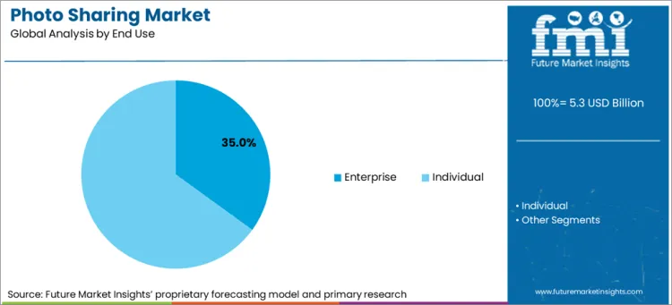 Photo Sharing Market Analysis By End Use
