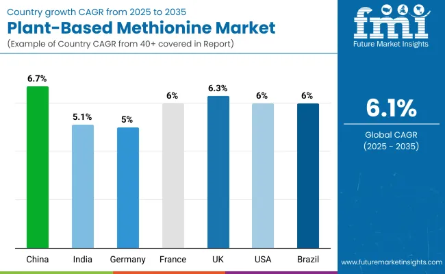 Plant Based Methionine Market By Country