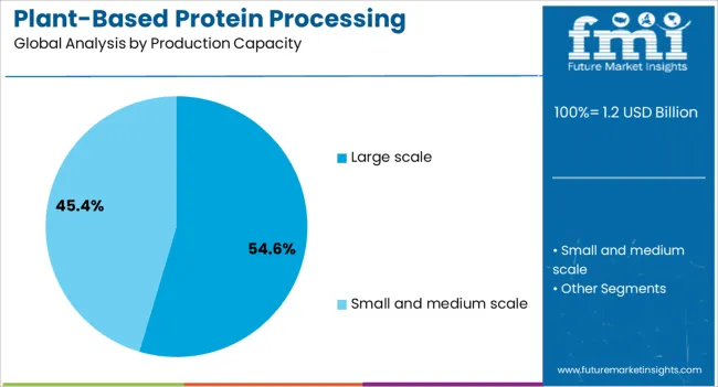 Plant Based Protein Processing Equipment Market Analysis By Production Capacity