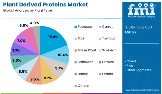 Plant Derived Proteins Market Analysis By Plant Type