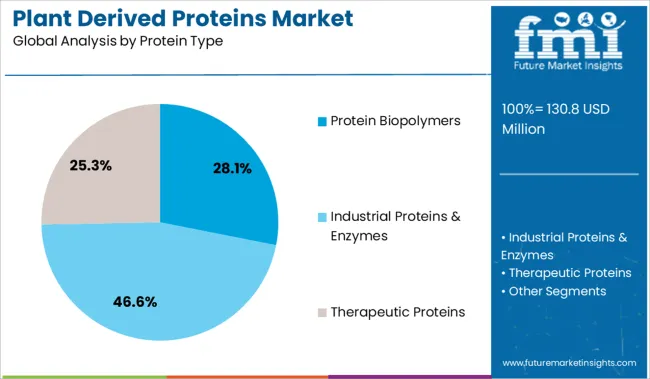 Plant Derived Proteins Market Analysis By Protein Type