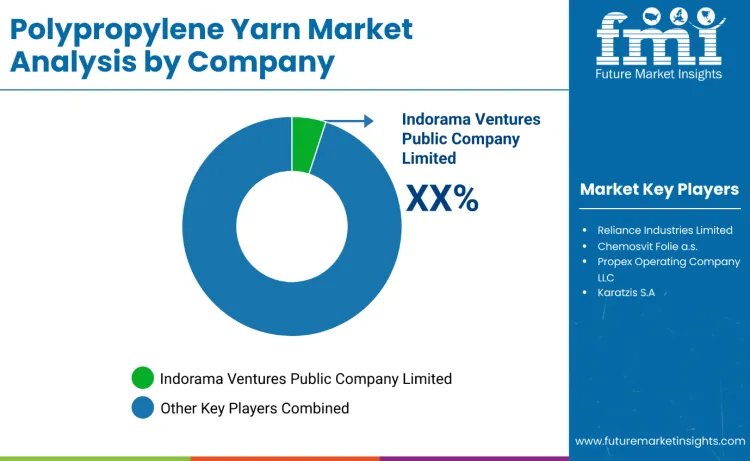 Polypropylene Yarn Market By Company