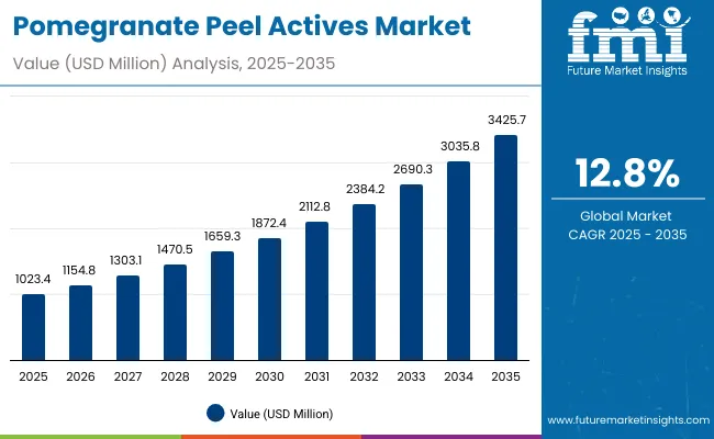 Pomegranate Peel Actives Market