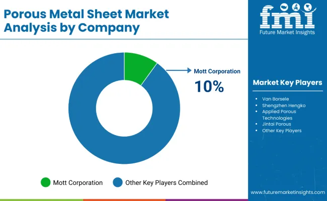 Porous Metal Sheet Market By Company