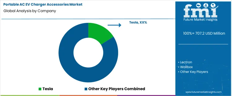 Portable Ac Ev Charger Accessories Market Analysis By Company