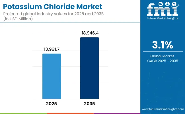 Potassium Chloride Market