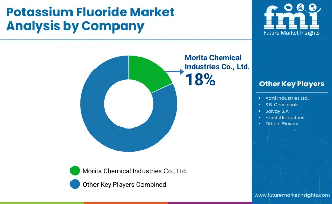 Potassium Fluoride Market Analysis By Company