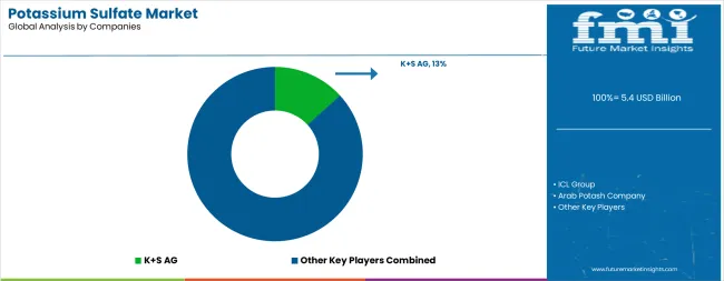 Potassium Sulfate Market Analysis By Company