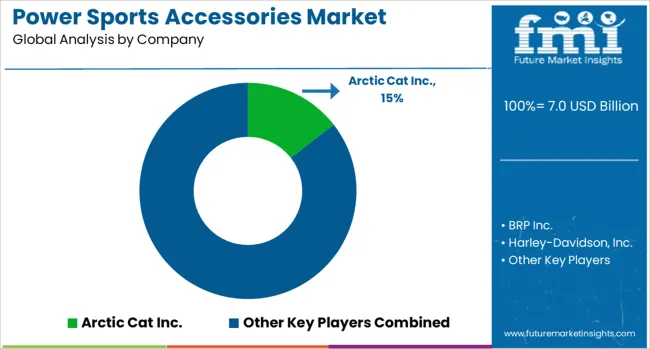 Power Sports Accessories Market Analysis By Company