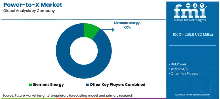 Power To X Market Analysis By Company