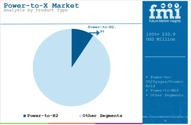 Power To X Market Analysis By Product Type