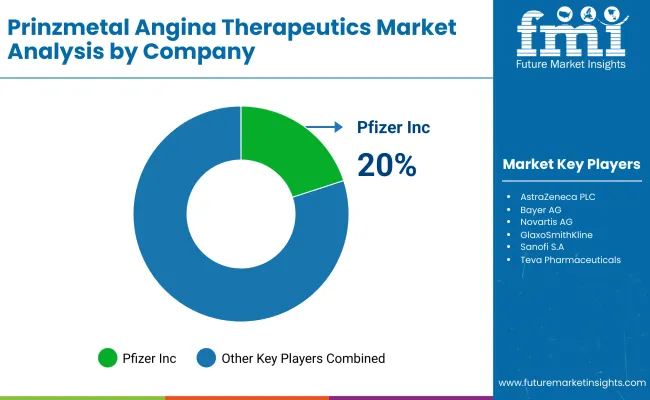 Prinzmetal Angina Therapeutics Market By Company Prinzmetal Angina Therapeutics Market By Company