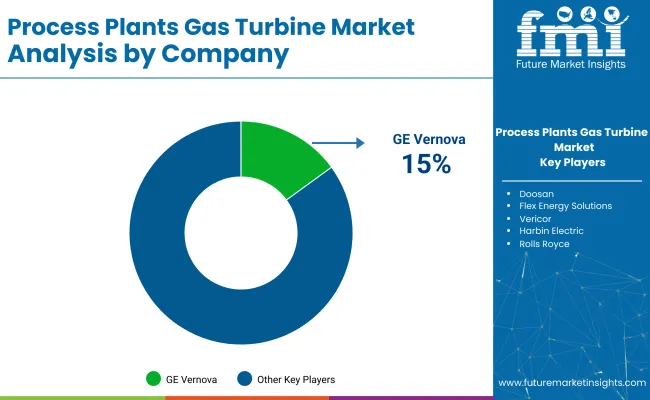 Process Plants Gas Turbine Market Analysis By Company