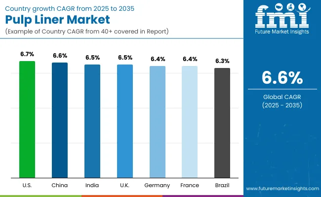 Pulp Liner Market By Country