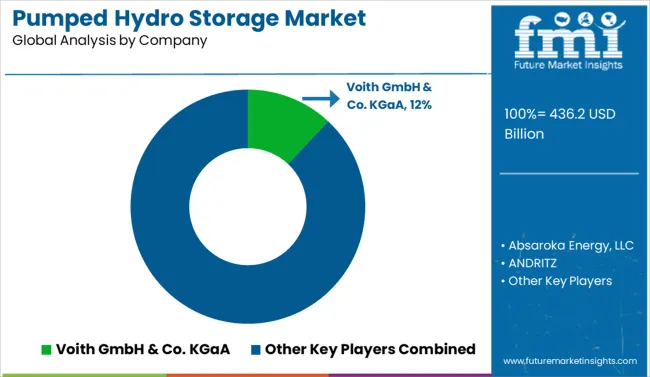 Pumped Hydro Storage Market Analysis By Company